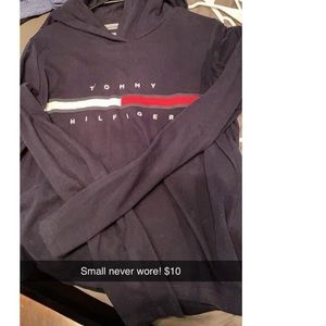 Size small Tommy Hilfiger hoodie